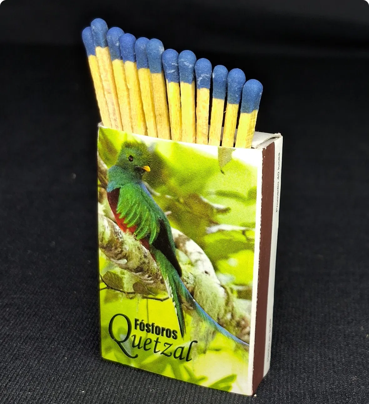 product1 camelmatch